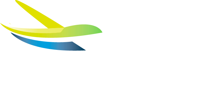 Low Country Aerospace logo